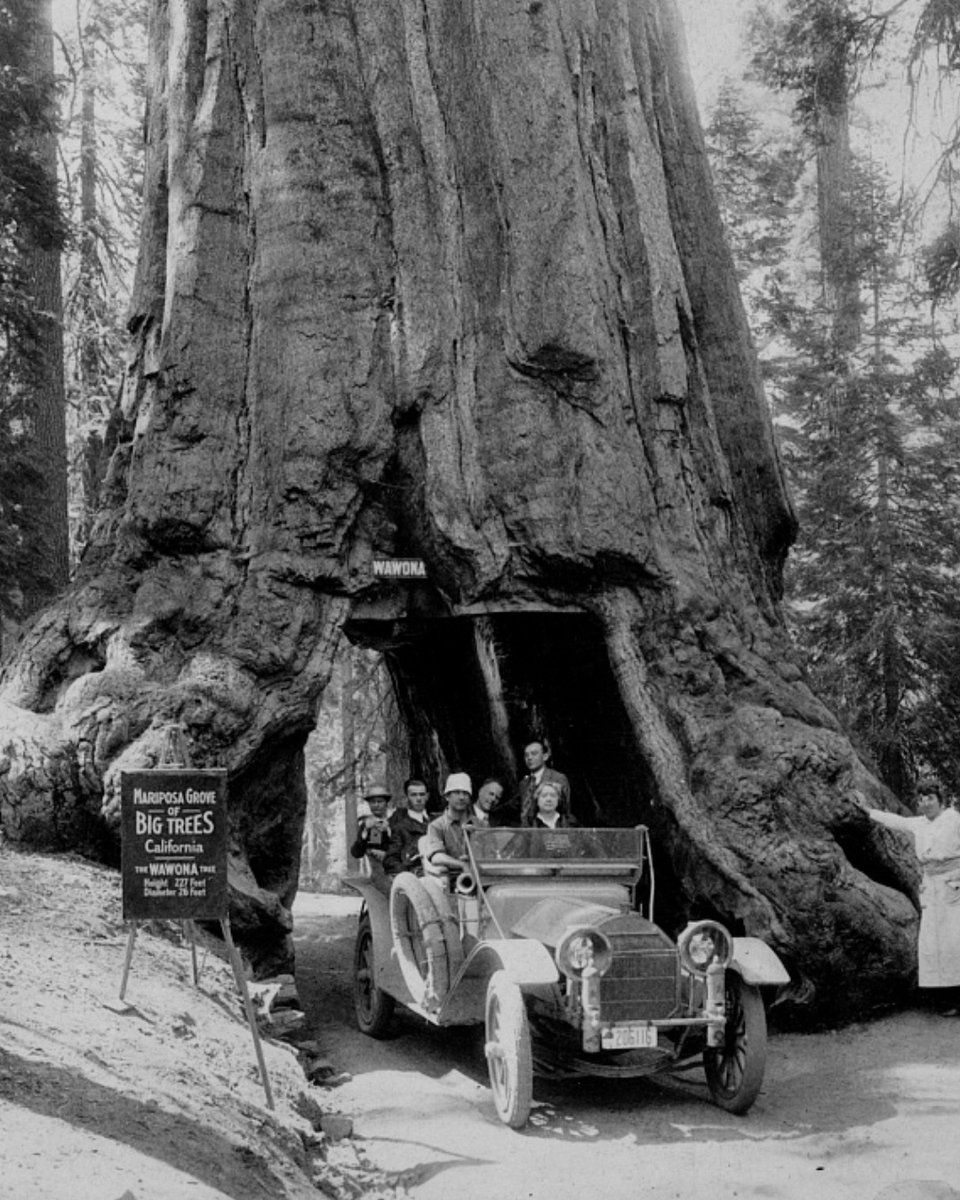 Good Sam tweet media