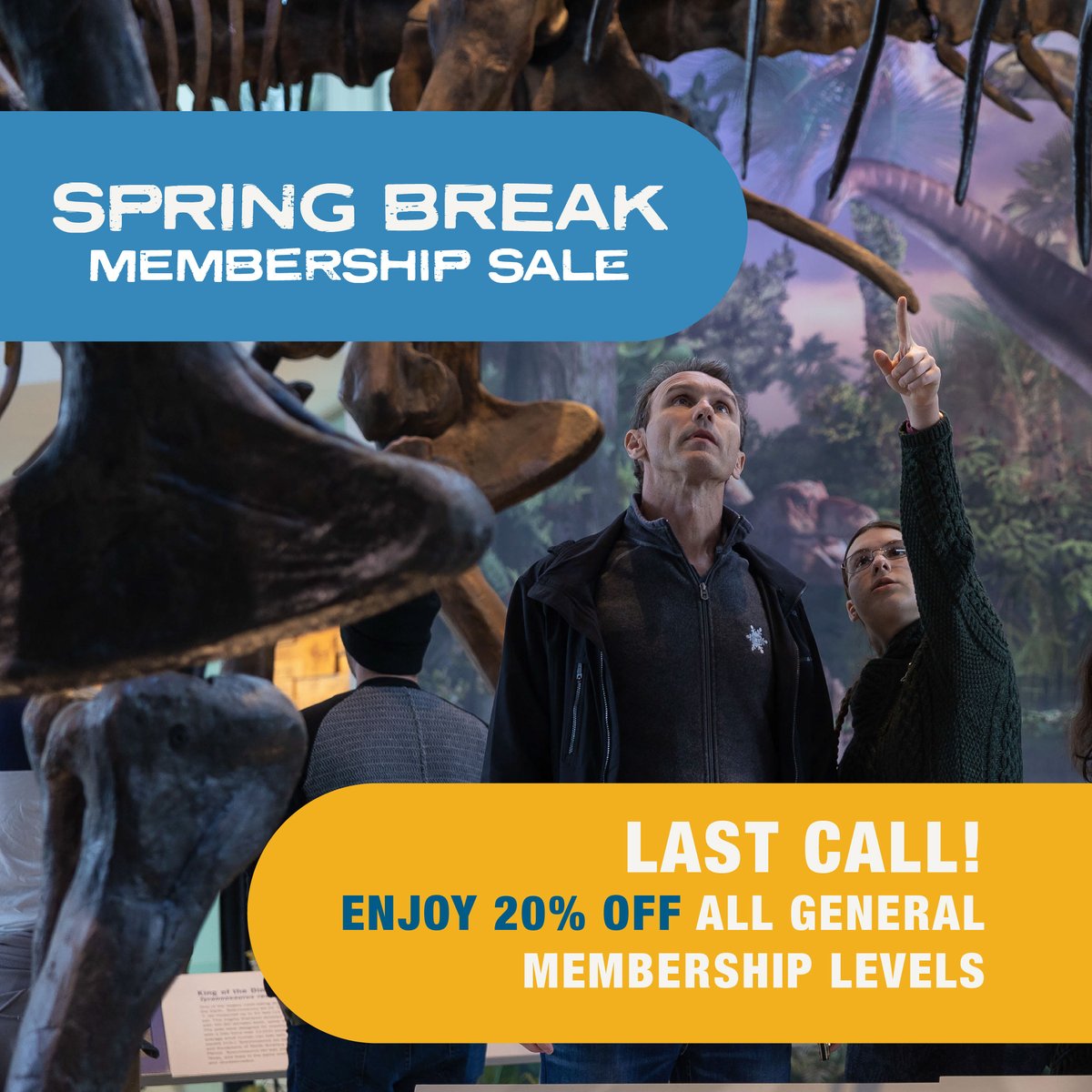 Witte Museum ~ Nature, Science & Culture tweet media