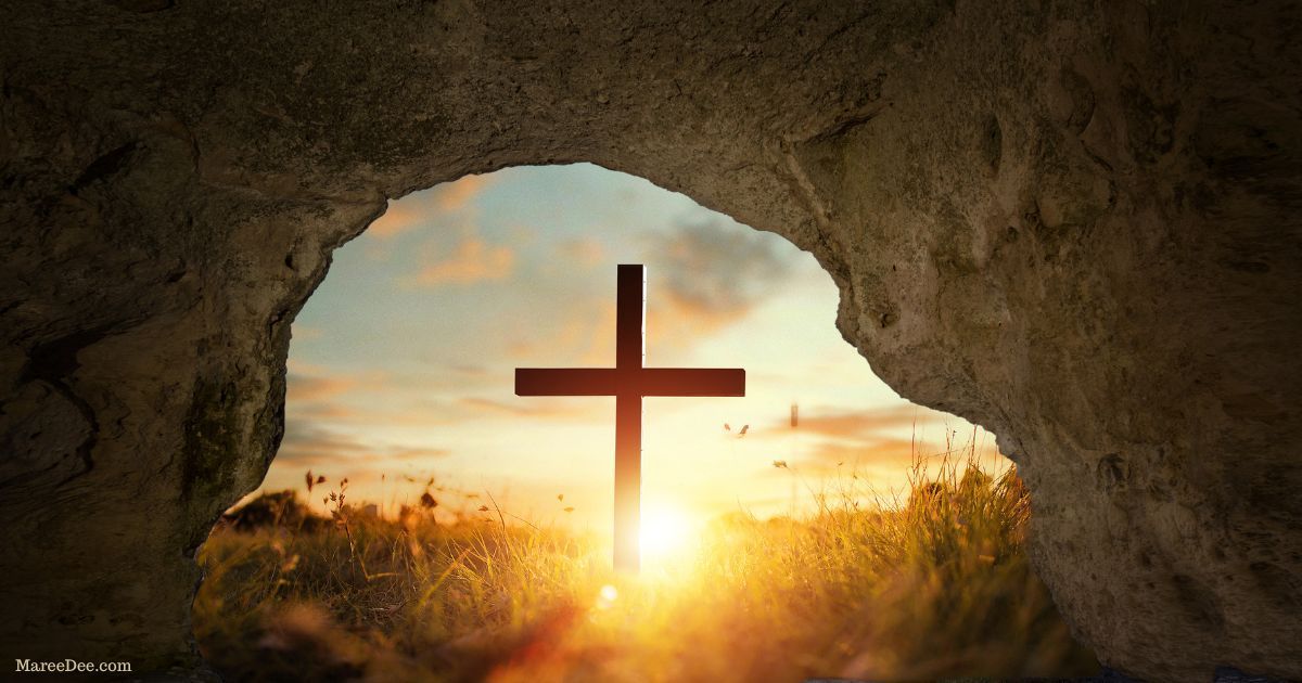 Maree Dee tweet media