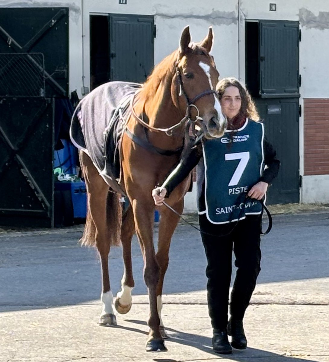 Dave Arthur tweet media