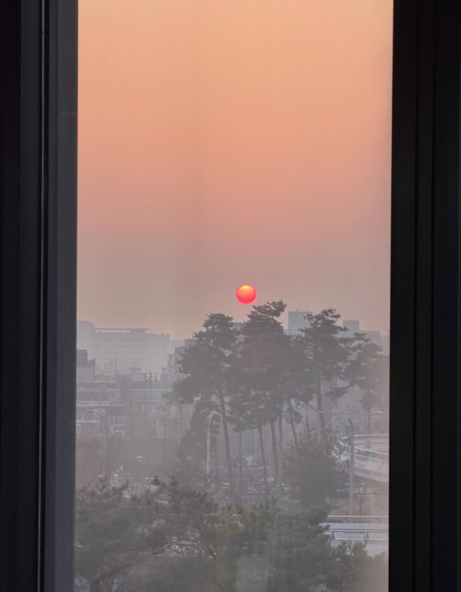 260315 인스타 #jinwoo__913

🍭

#GHOST9 #고스트나인 #LEEJINWOO #이진우