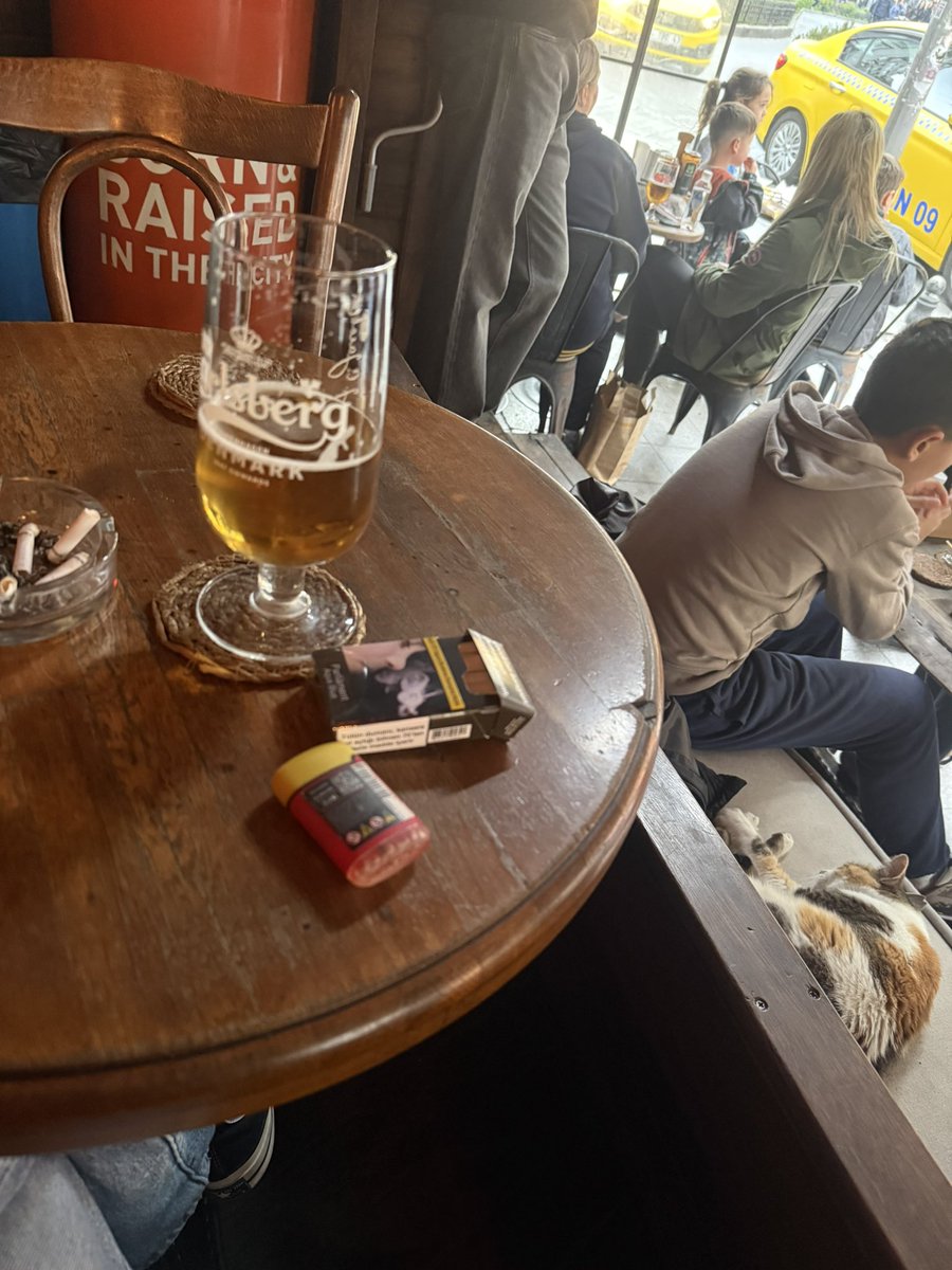 Маша с котом tweet media