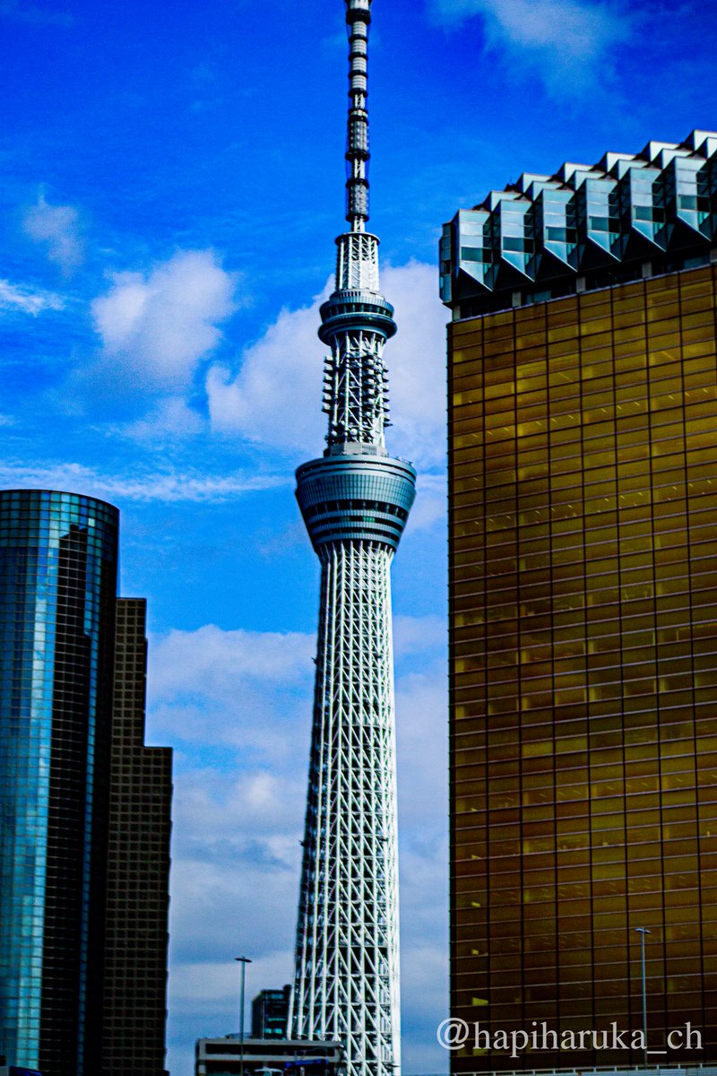 はぴ＆はるか🏨健全カップルの日常📓 tweet media