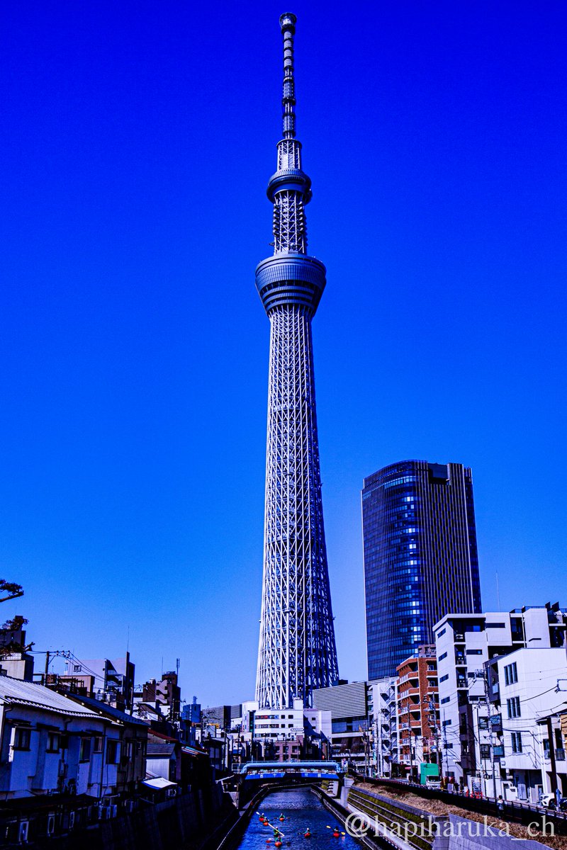 はぴ＆はるか🏨健全カップルの日常📓 tweet media