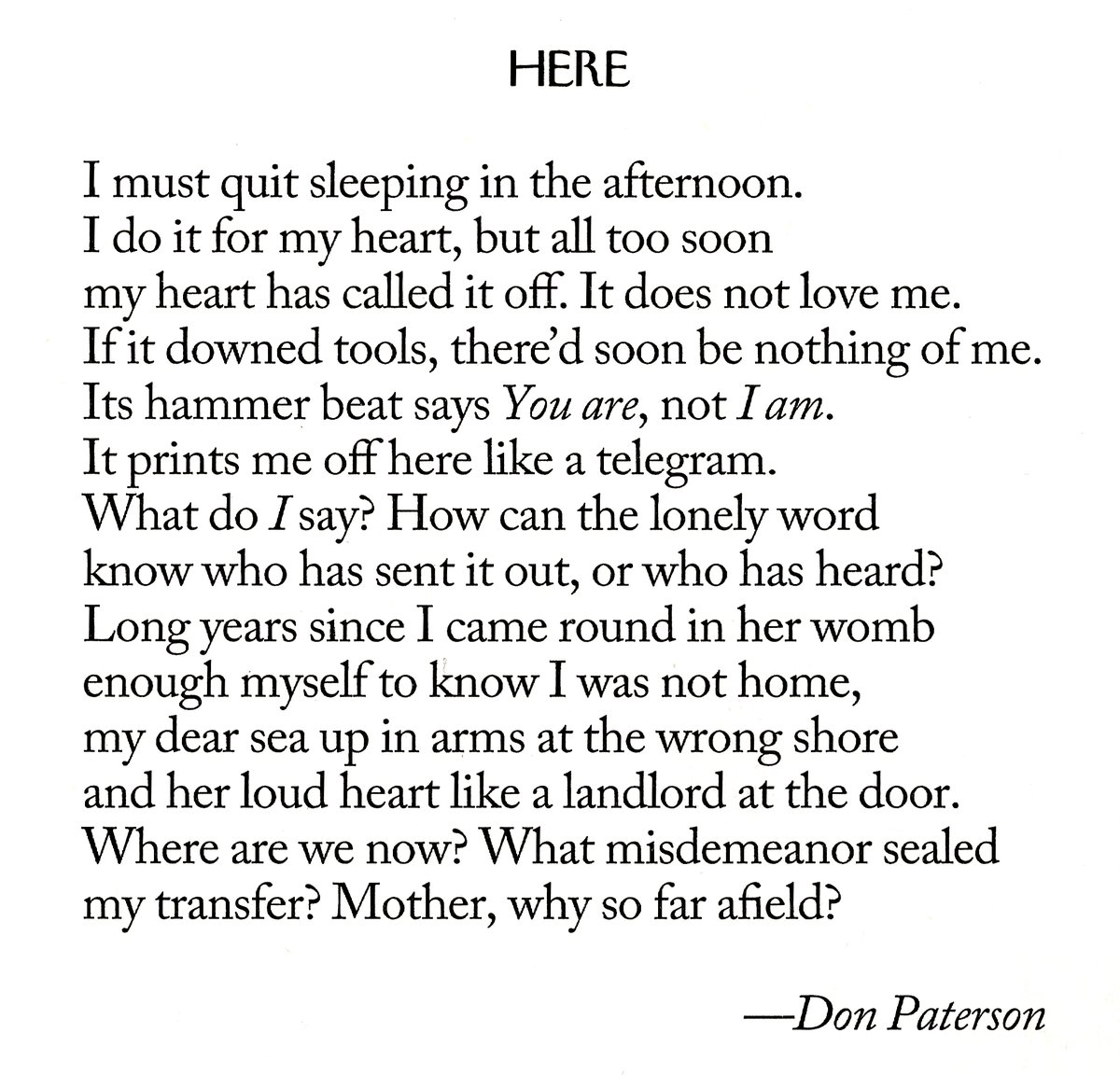 phillip crymble tweet media