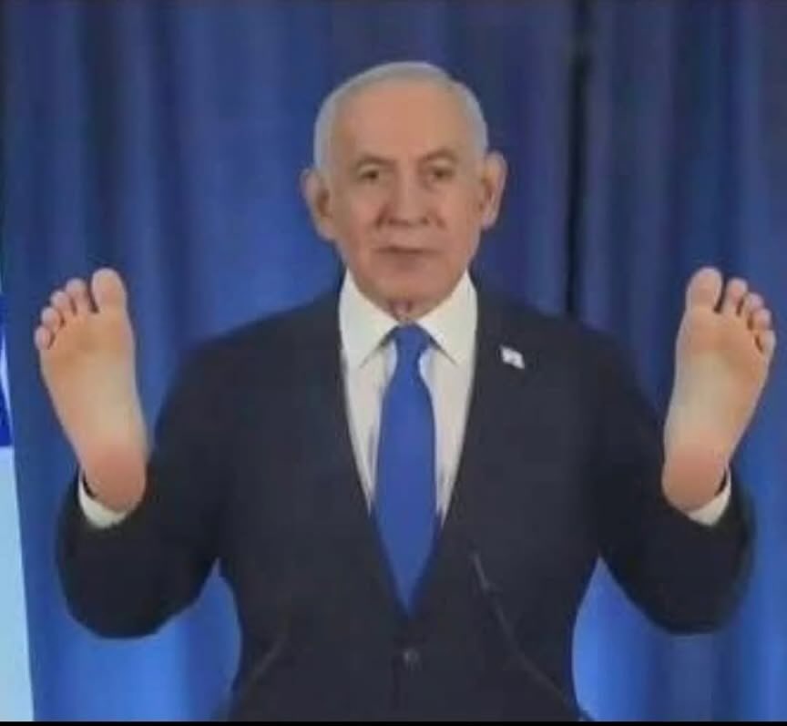 Luis R Couto tweet media