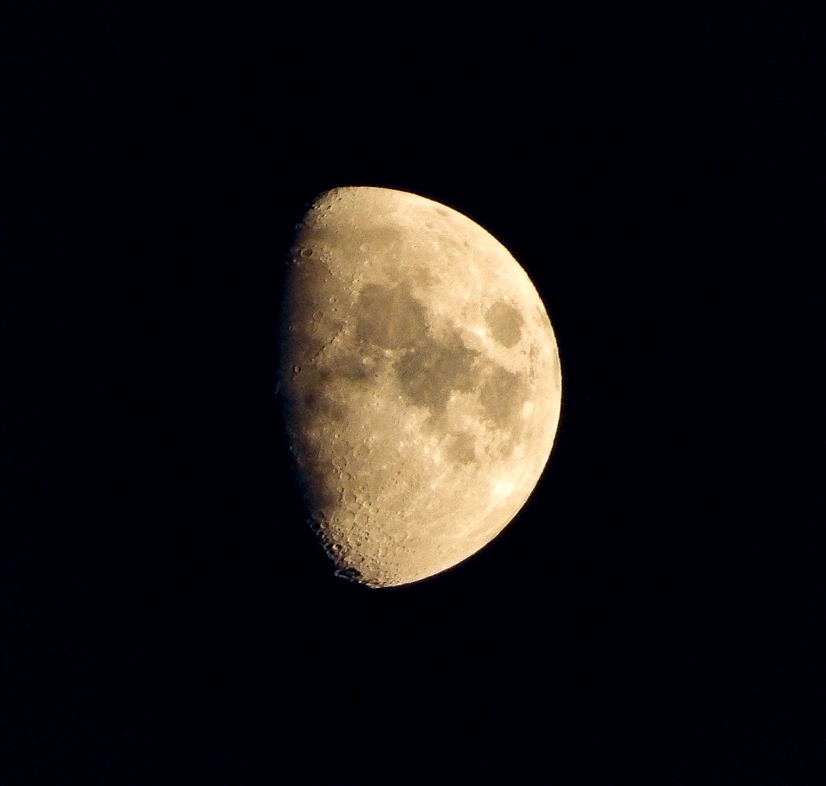 Samantha Marie tweet media