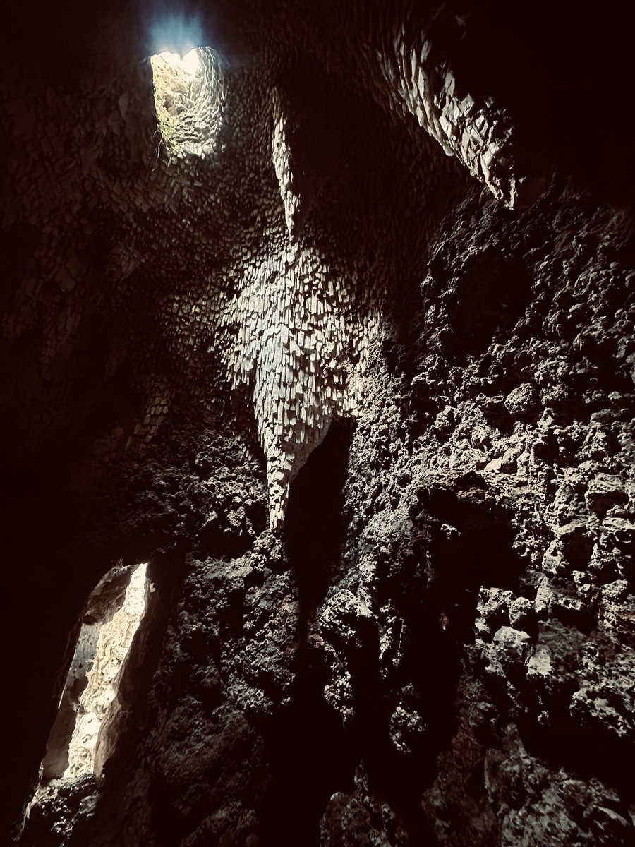 Carol Thomas tweet media