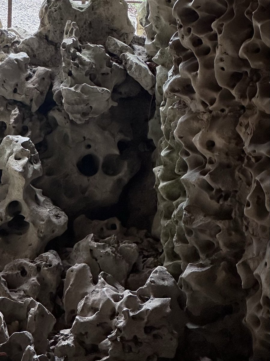 Carol Thomas tweet media