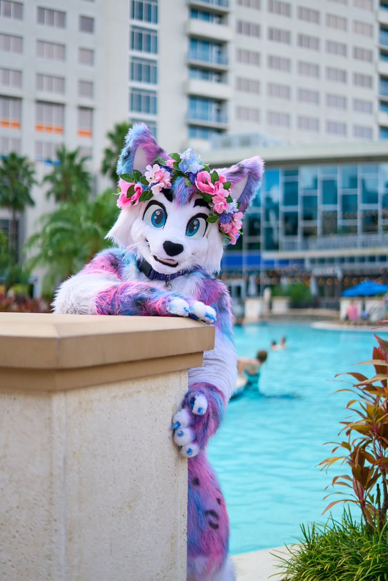 LightOfSolaris 🔜 FWA tweet media