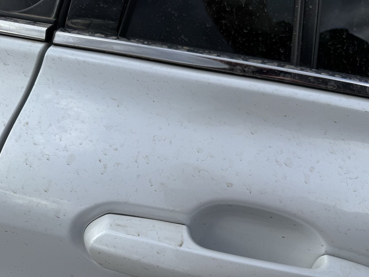 Tom Renz tweet media