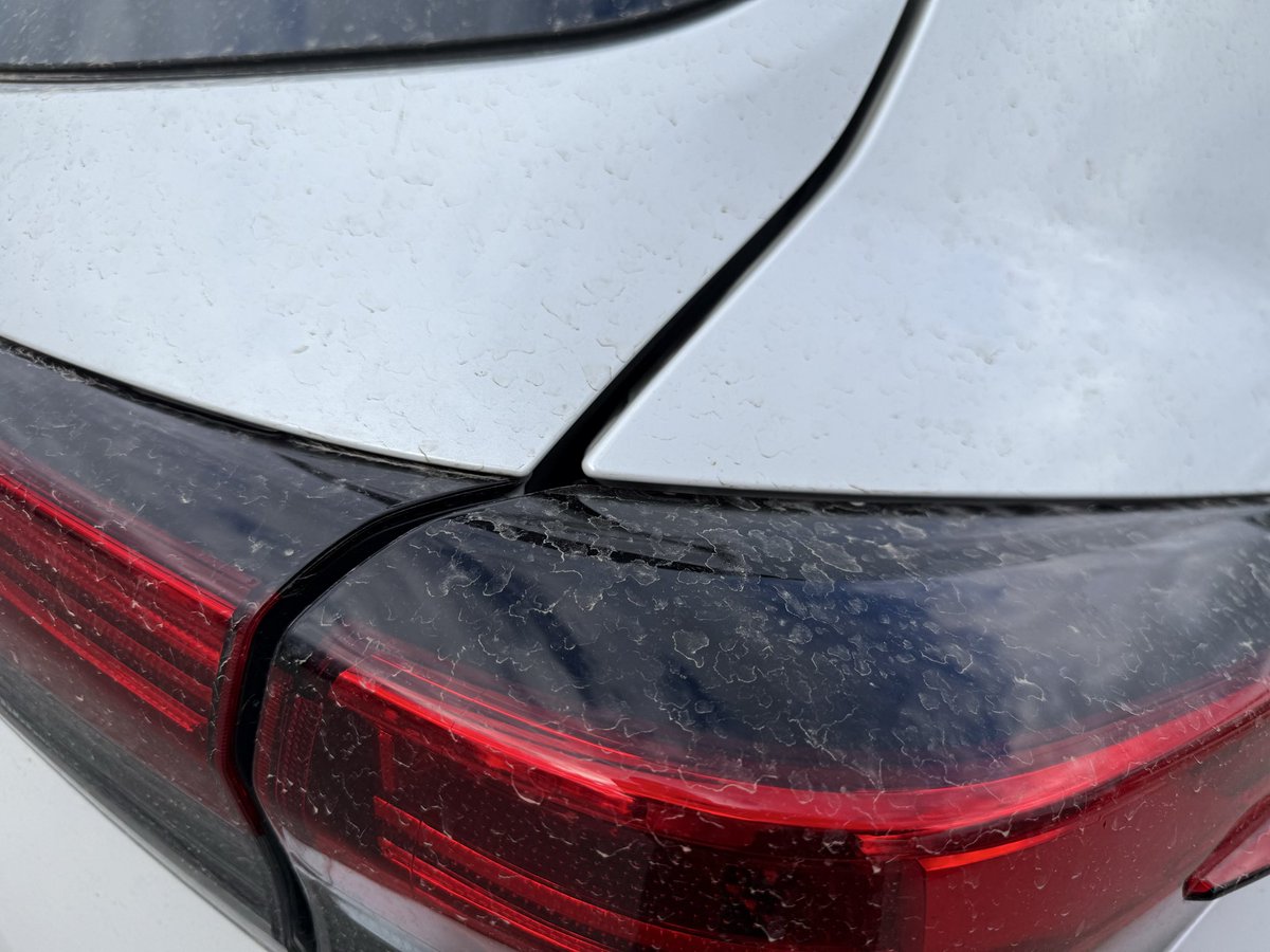 Tom Renz tweet media