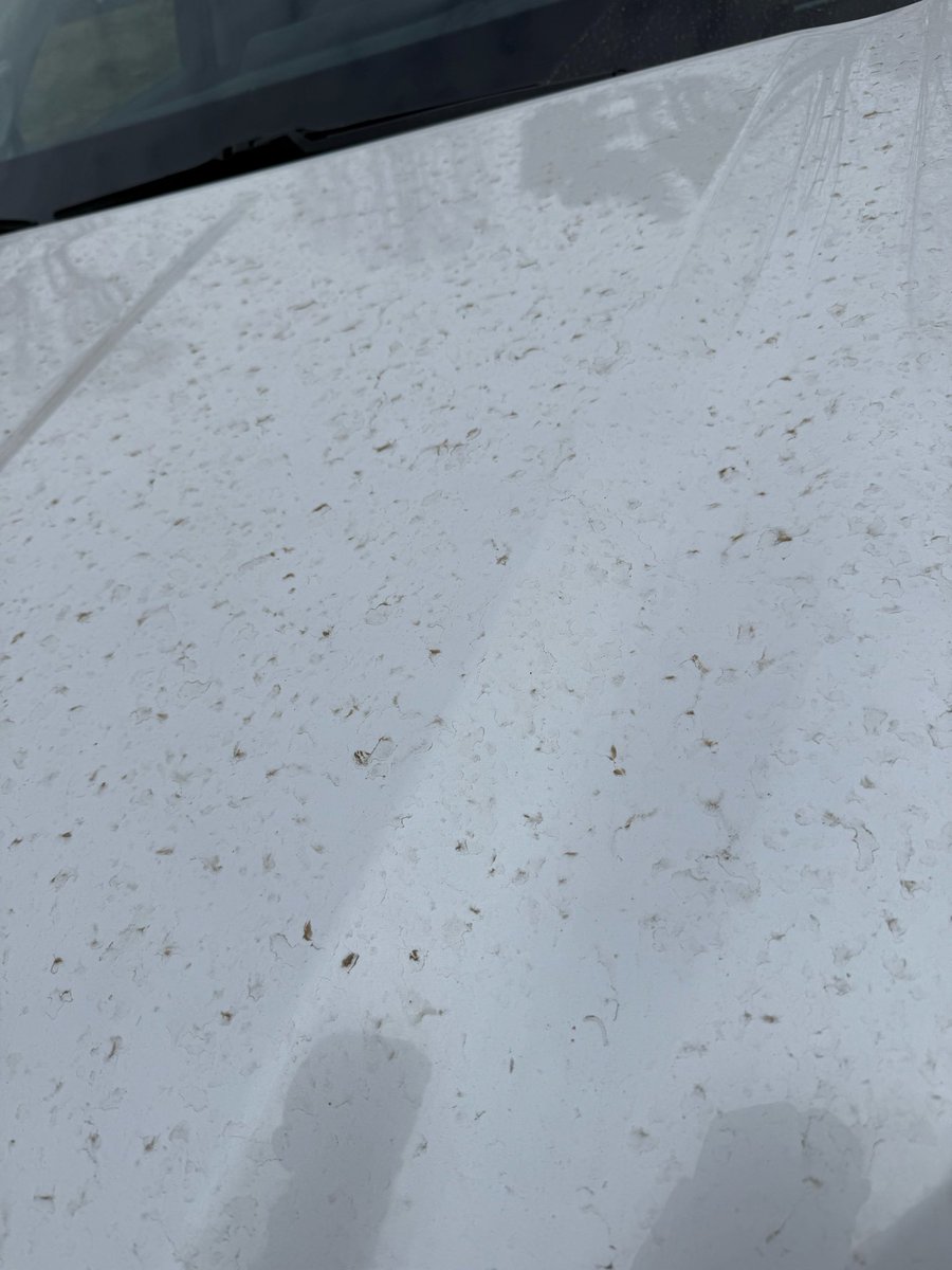 Tom Renz tweet media