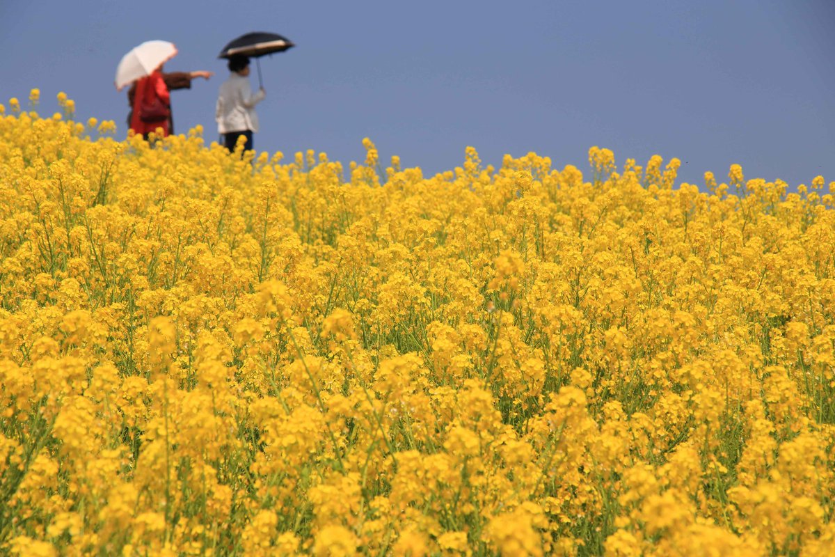 片柳弘史 tweet media