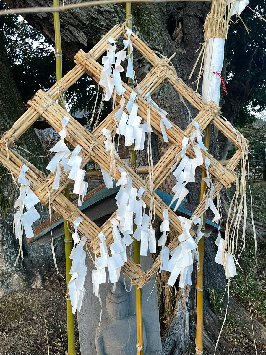 🏔⛰⛰🍣⛰⛰🏔 tweet media