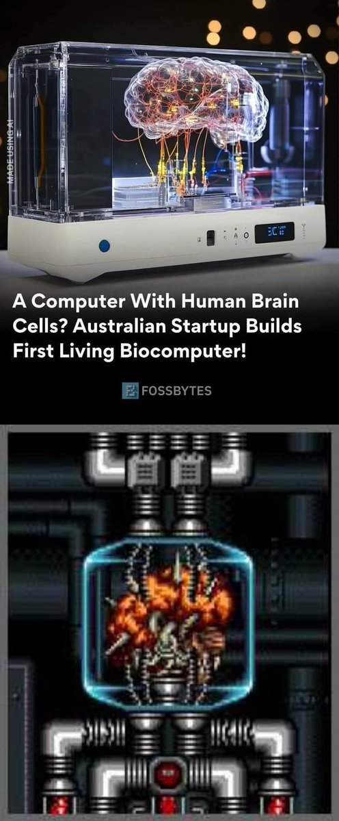 Metroid_até_namorar tweet media