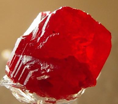 James R Us tweet media