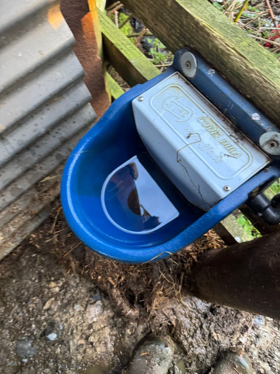 Aled Johnson tweet media