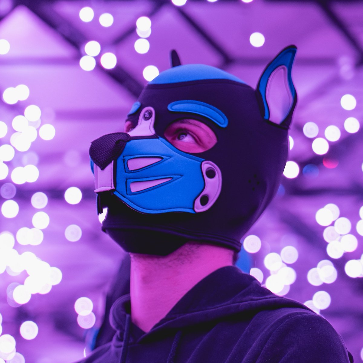 PupHunter tweet media