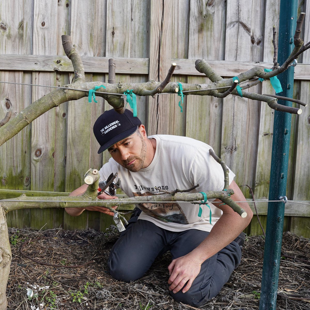 NCGardening's tweet image. Lots of #pruning going on! Almost done for the season 🌳 If you haven't started, get on it before the buds break!