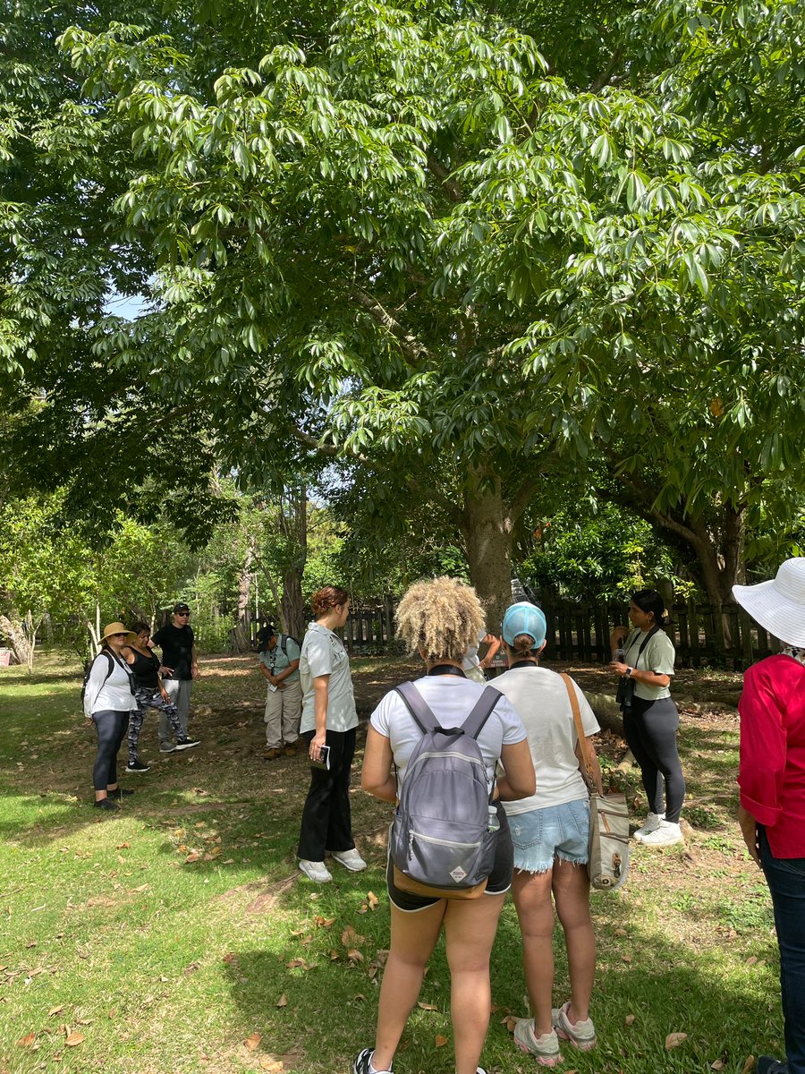 ECOEXPLORATORIO tweet media