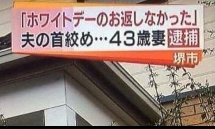 くそがき㌠🤜🏻💥🤛🏻 tweet media