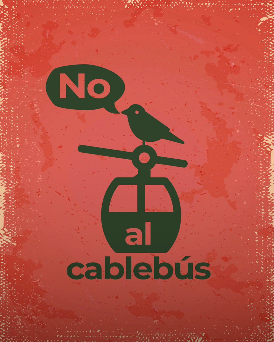 Adopciones De 🐩 🐕y🐈‍⬛🐈 Puebla tweet media