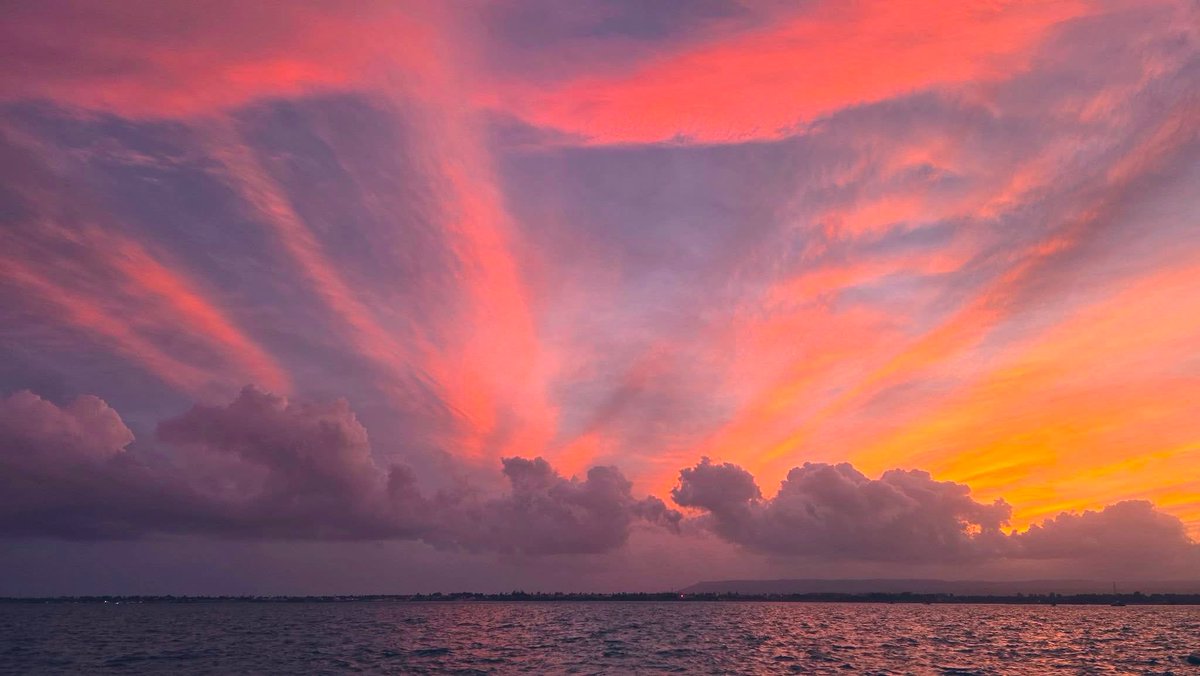 Manu_Ela tweet media