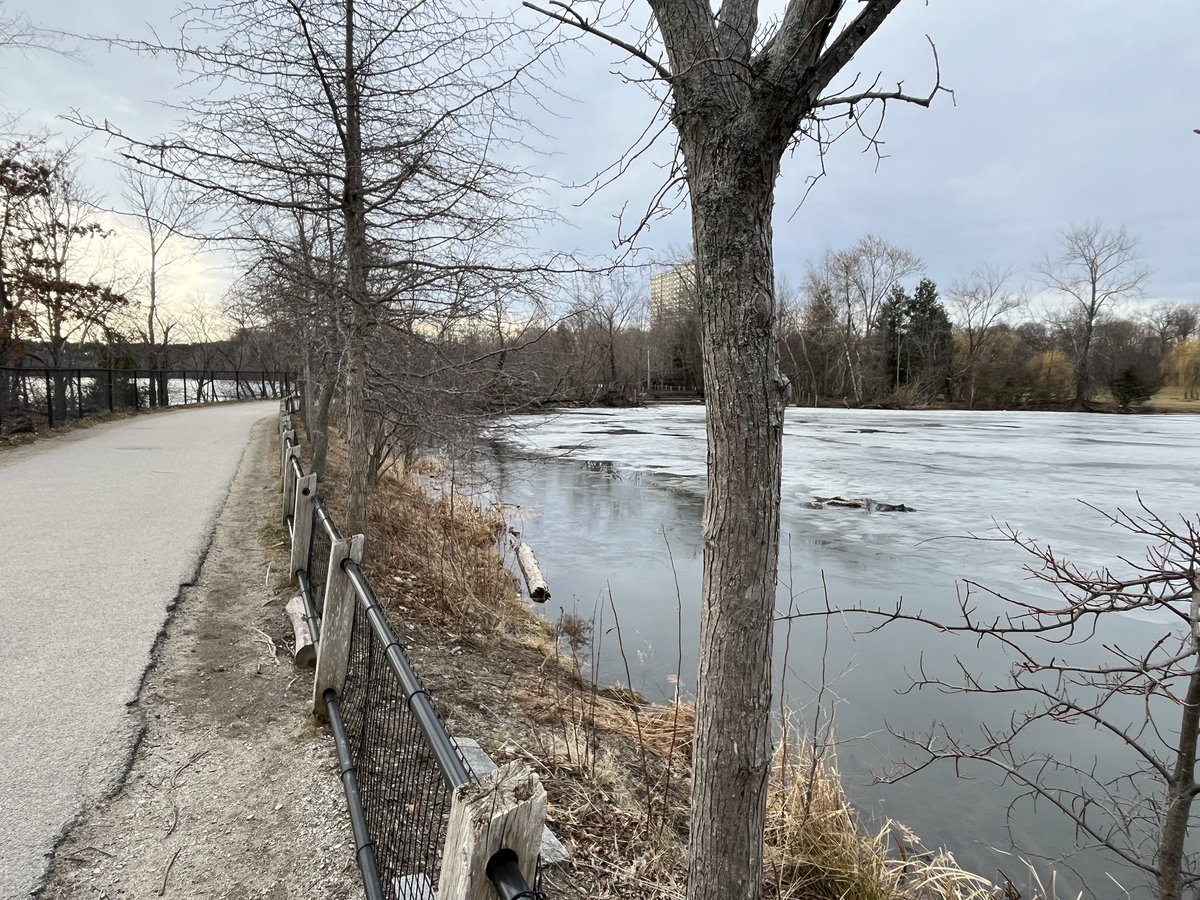 MarcHurBoston's tweet photo. Another 5 miles today, and great company, great scenery, and great weather. #FreshPond https://t.co/lUG5O58NcK
