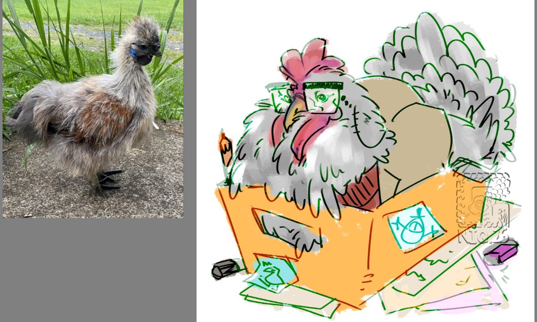 Niq 🍉 tweet media