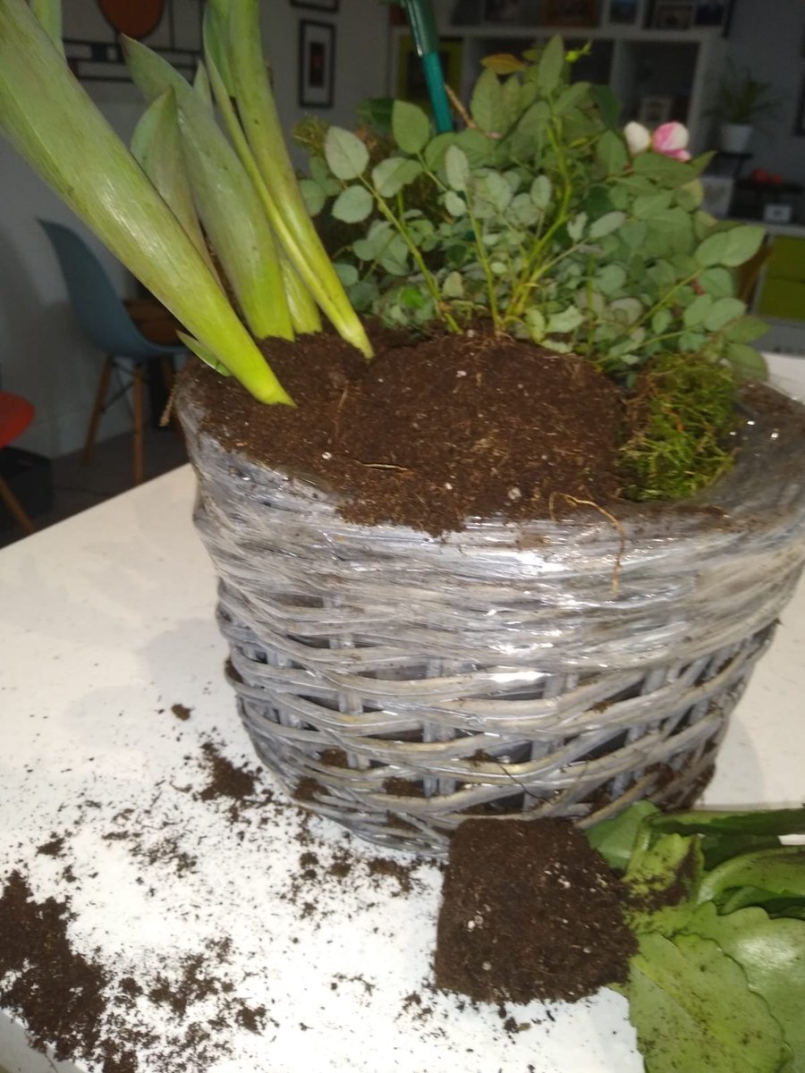 James Whaley tweet media