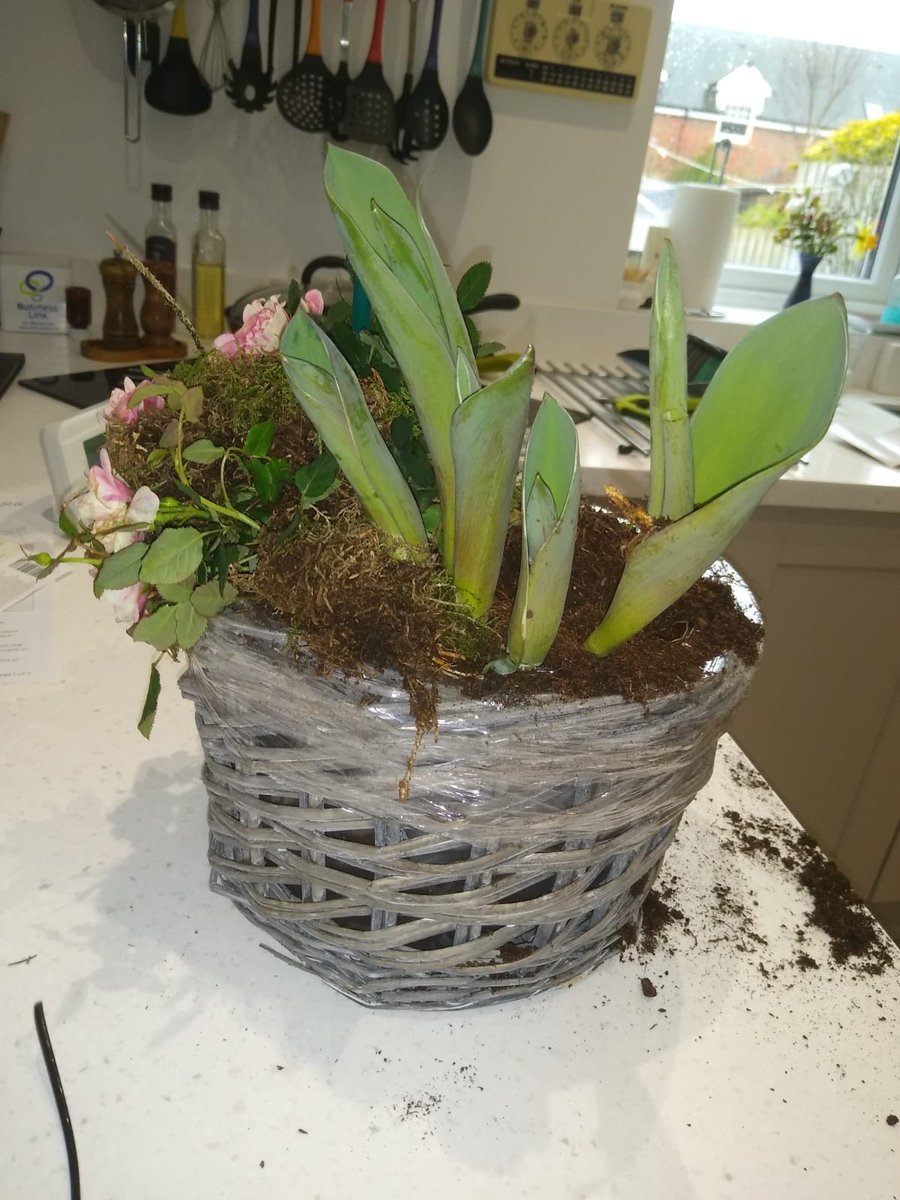 James Whaley tweet media