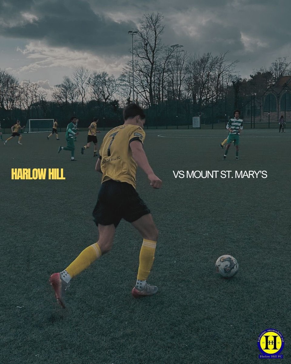 Harlow Hill FC 🏆 tweet media