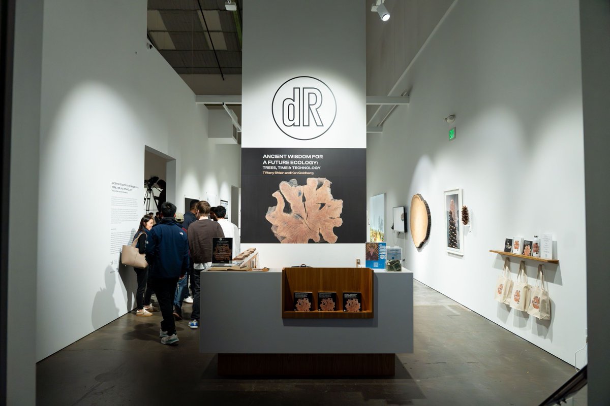 Mercedes Bent tweet media