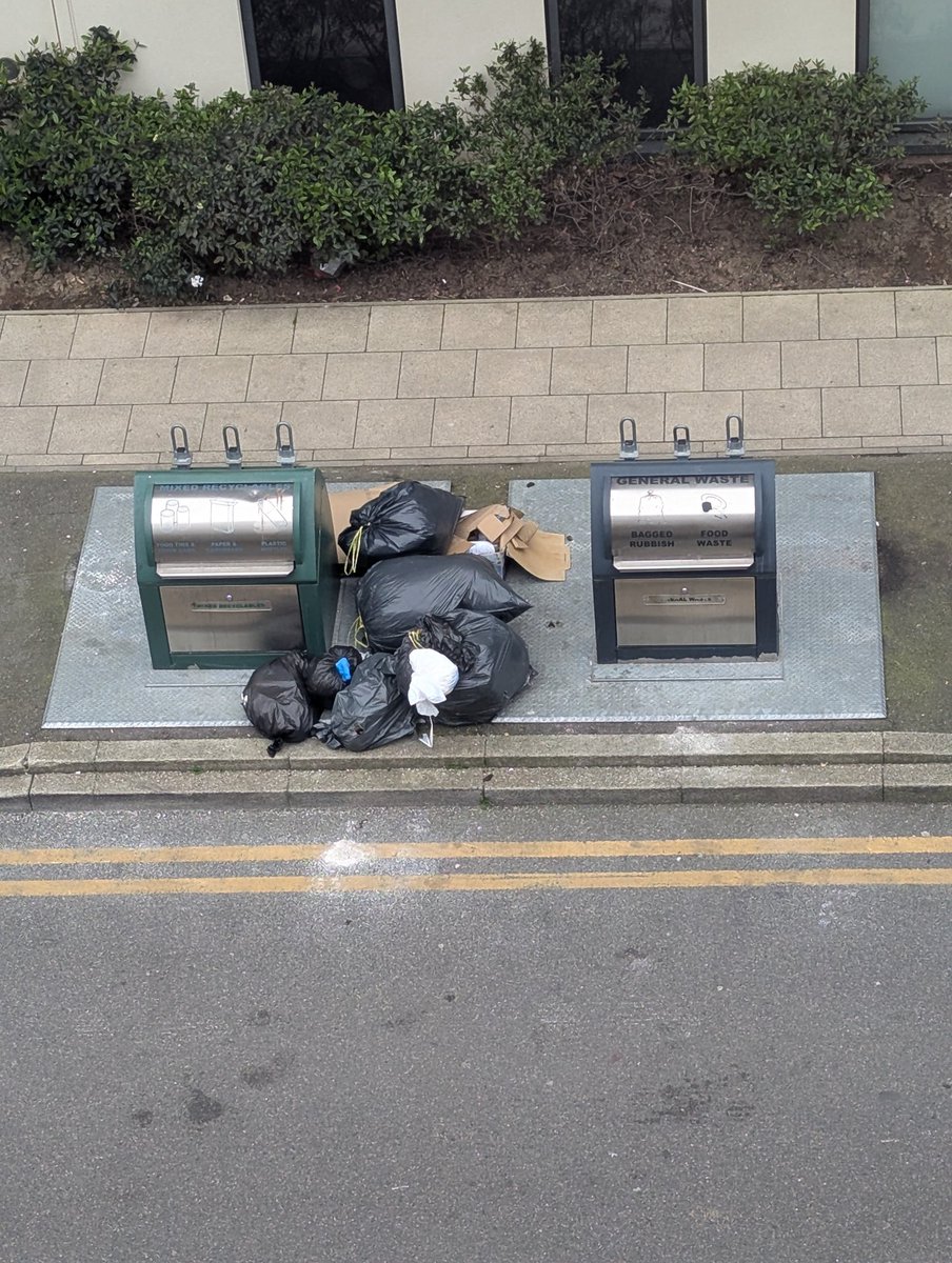 James Svedberg tweet media