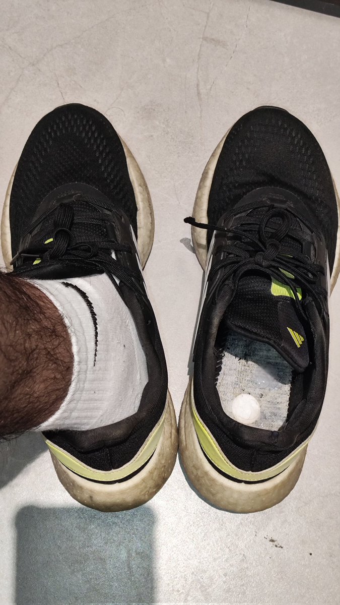 GBShose tweet media