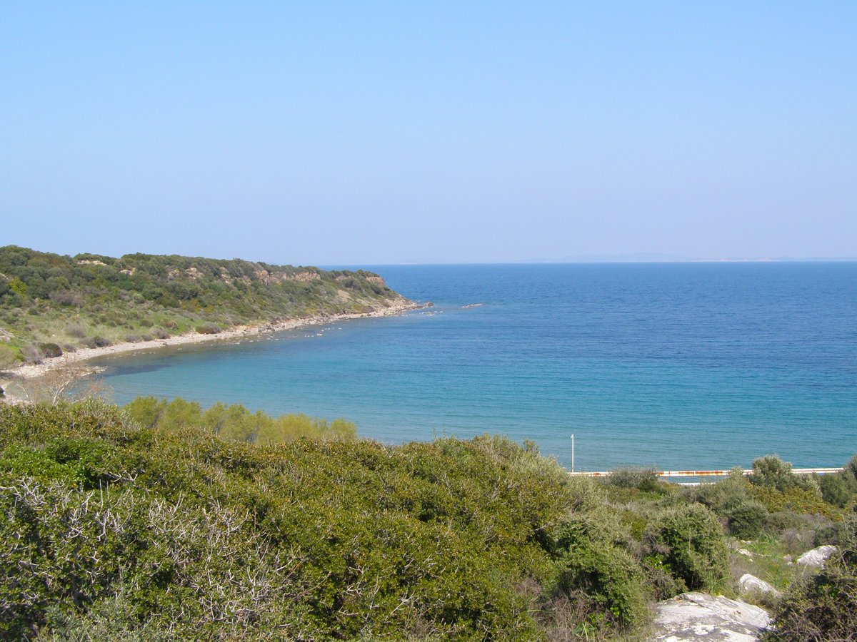 Panayiotis G Dimitrakopoulos tweet media