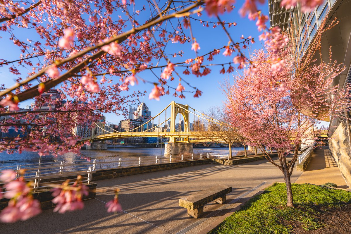 Dustin McGrew tweet media