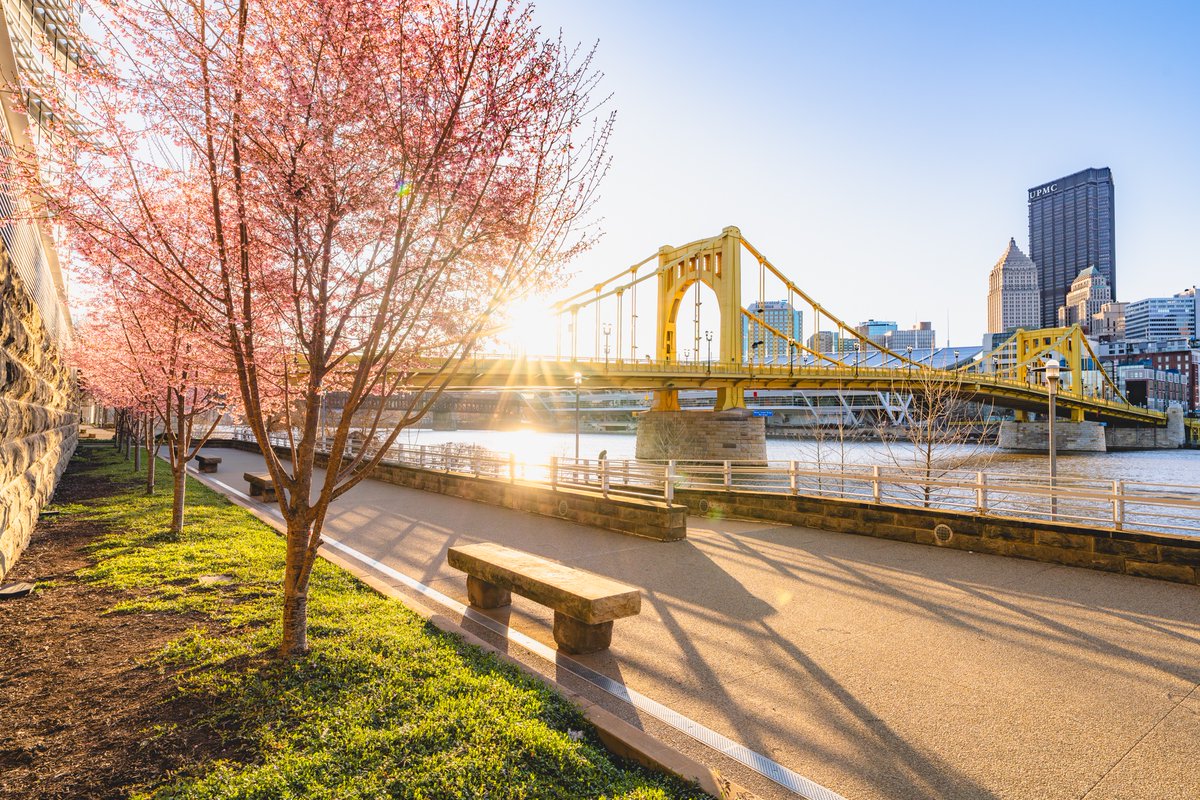 Dustin McGrew tweet media