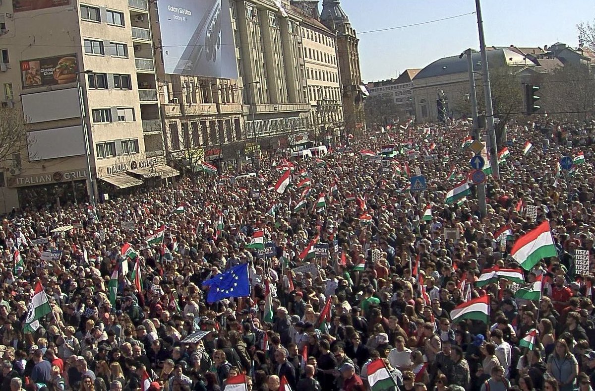 Donald Tusk tweet media