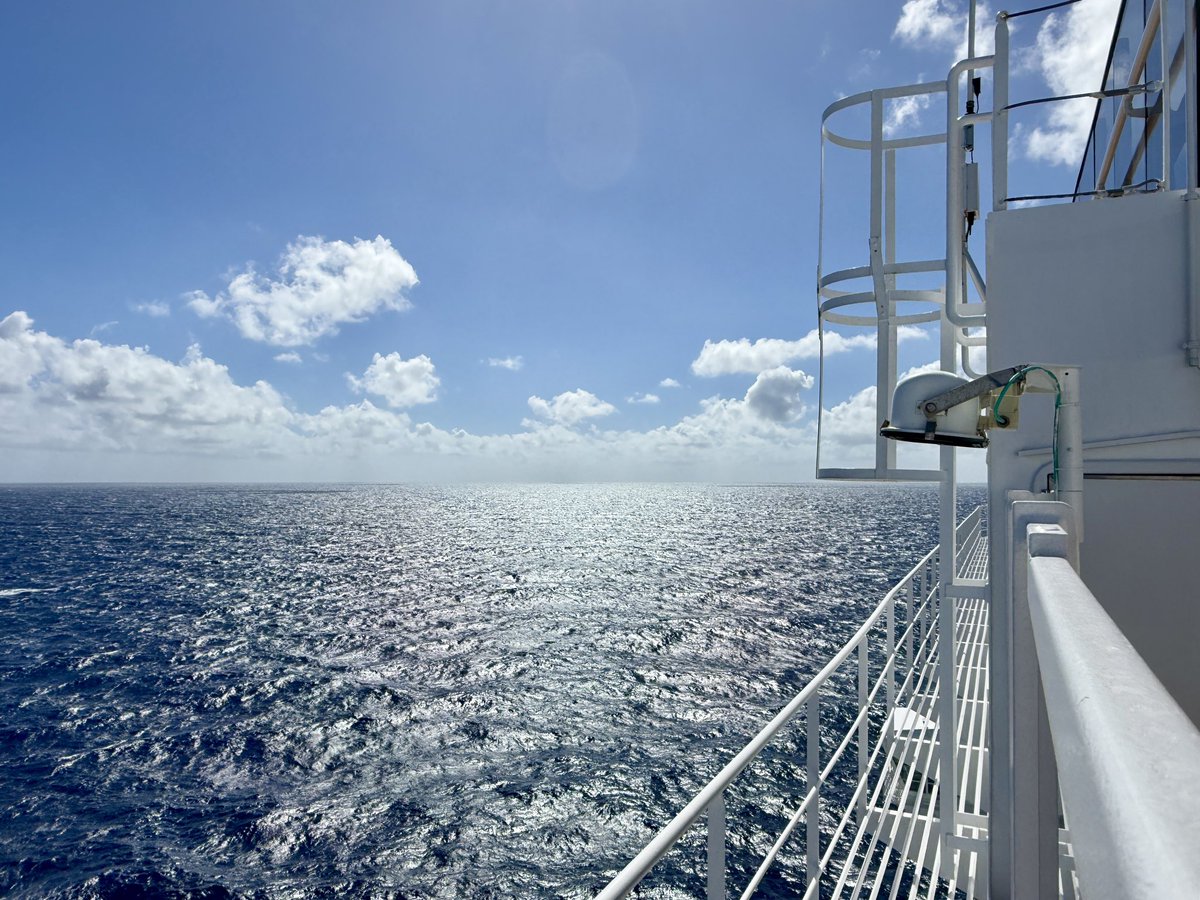 Scott Sanfilippo tweet media