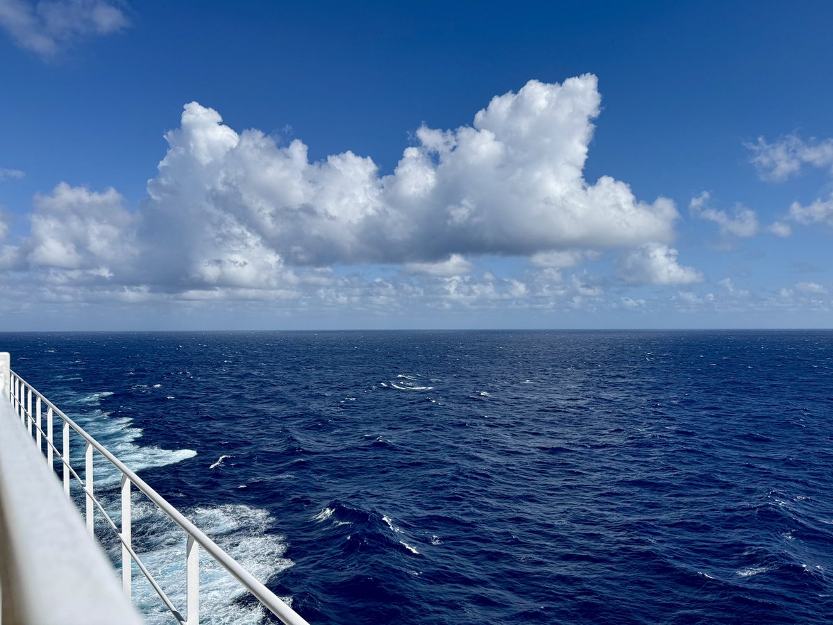 Scott Sanfilippo tweet media