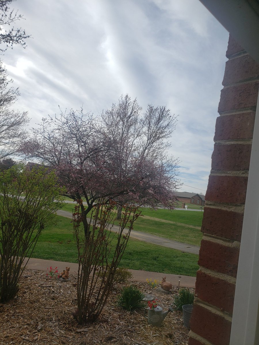 <a href="/BabyD1111229/">0️⃣BlackBetty ⚓️</a> <a href="/lauri90295/">Fight For Freedom</a> This is the sky in TN. When I got up at 7am it was a beautiful sunny day with no wind. They were already lining the sky with their chem trails. Now it's cloudy and super windy. I'm sick of it!