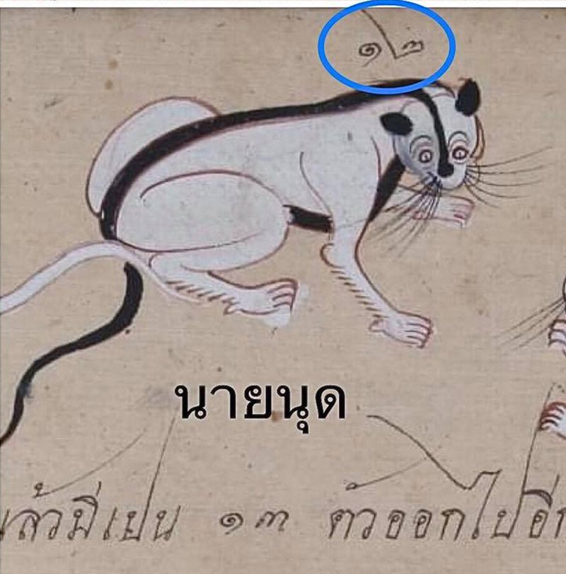 ชลน แมวส้มแท้ๆ 🐱 tweet media