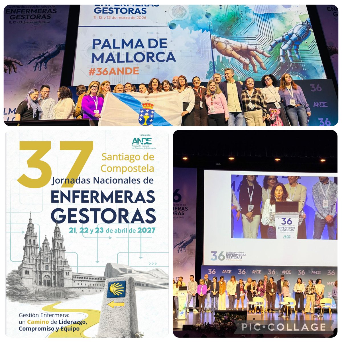 Chus Perez Taboada tweet media