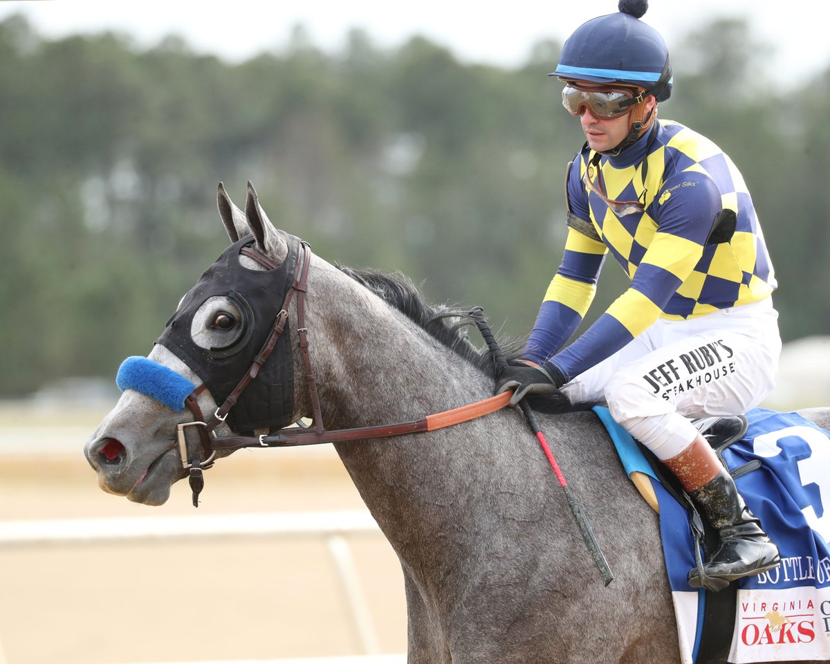 𝐛𝐫𝐢𝐬𝐧𝐞𝐭.𝐜𝐨𝐦 tweet media