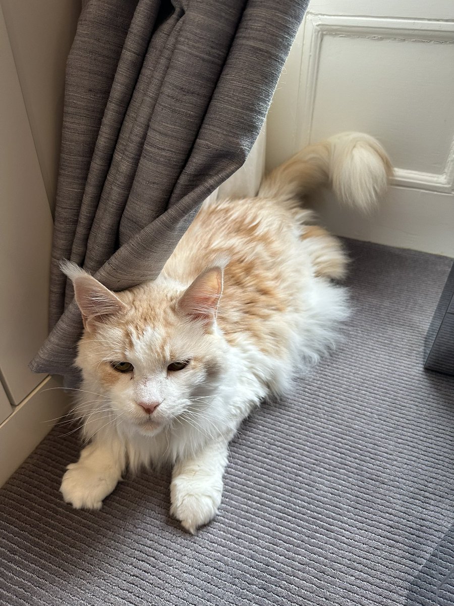 Ted Allen tweet media