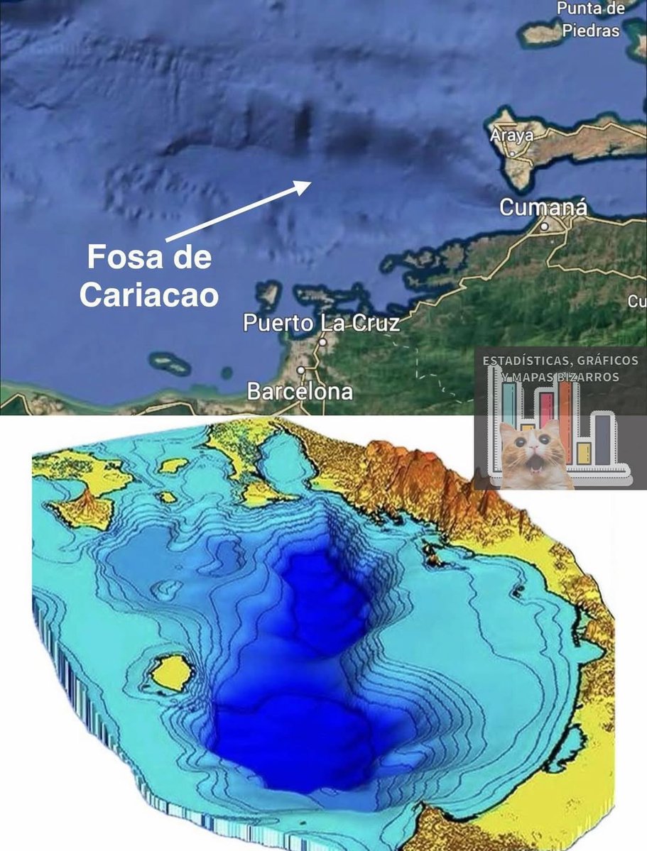 Noti Ciencias Mgta 𝕏 tweet media