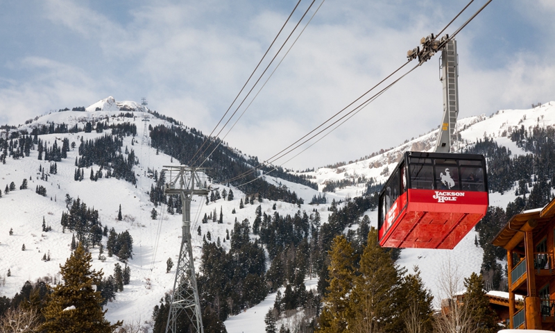 JHClancy's tweet photo. March into Jackson Hole with The Trinity Team!  March 15-21st Calendar of Events, Book Now for Rendezvous Fest! TrinityTipsJH - https://t.co/kpigAaIzjt https://t.co/lqgoj5xL4K