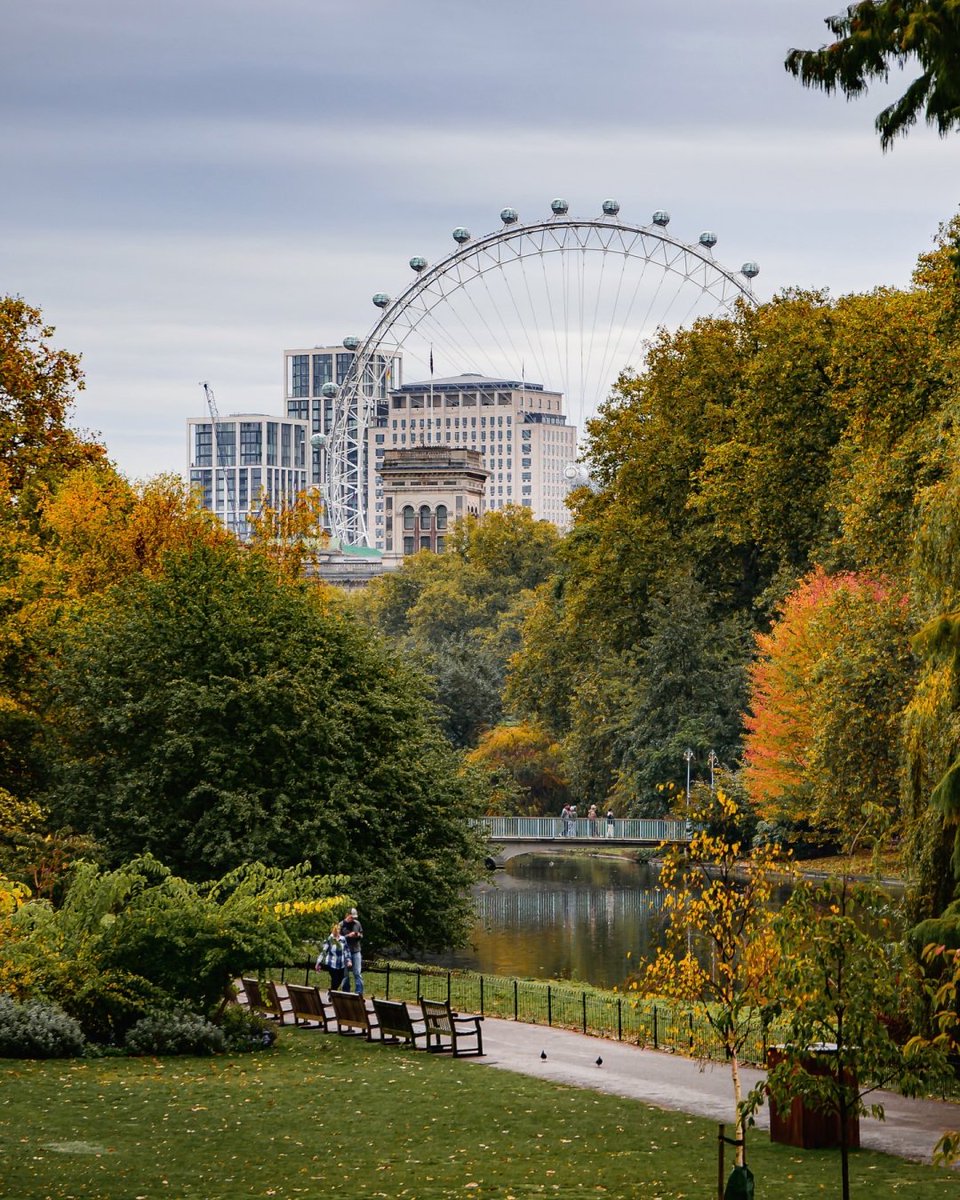 A touch of gold amidst the greenery.🍀🍁✨
